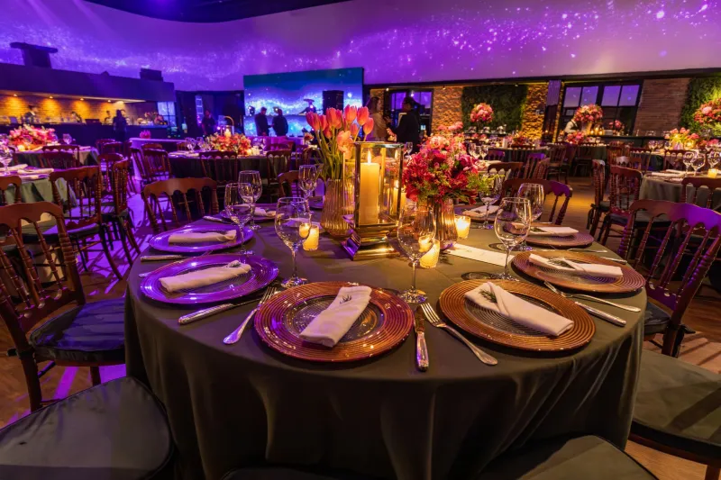 Engineered Wonder: The Science of Designing Surprise Into Premium Events